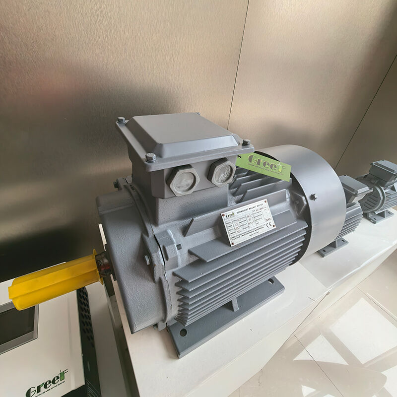 আইপি 54 রেটযুক্ত ফ্ল্যাঞ্জ মাউন্ট স্থায়ী চৌম্বক মোটর শিল্প অ্যাপ্লিকেশনগুলির জন্য 0-3000 আরপিএম