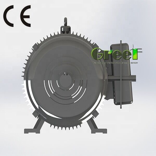 এসকেএফ বিয়ারিং ব্রাশলেস পার্মানেন্ট ম্যাগনেট মোটর, যা নবায়নযোগ্য শক্তি, রোবোটিক্স এবং শিল্প ড্রাইভের জন্য আদর্শ এনডিএফইবি চুম্বক প্রকার অন্তর্ভুক্ত করে