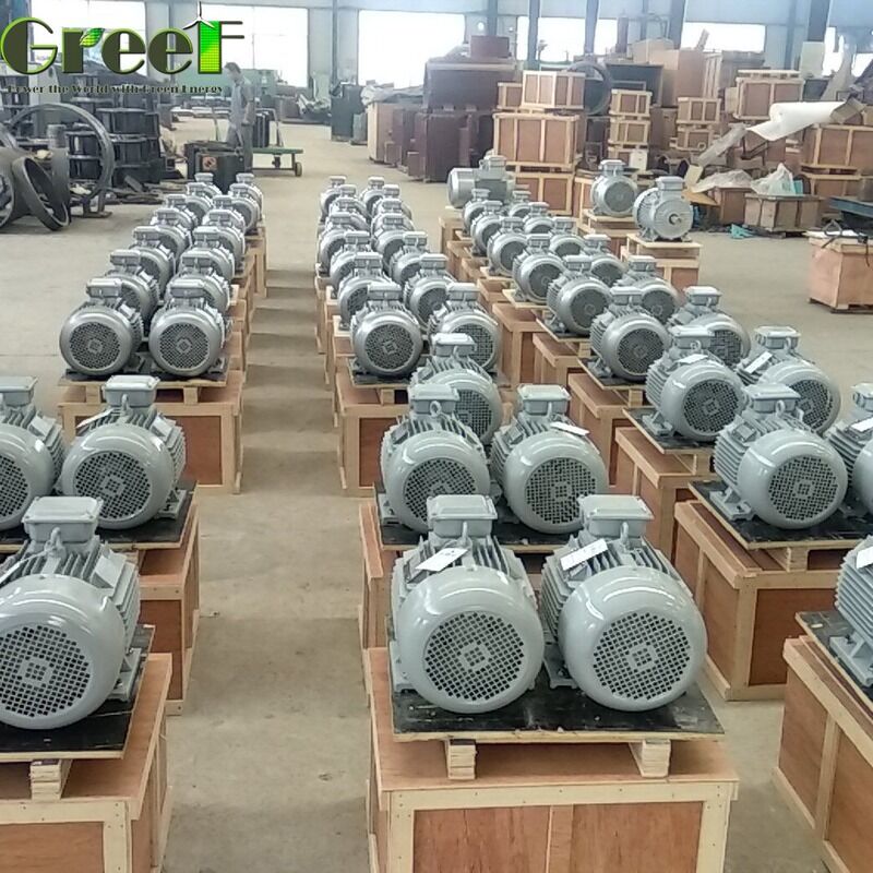 Copper Stator Permanent Magnet Generator Single-phase Or Three-phase Generator Material 100 Percent Copper Wire Nd Fe B Designed For And Energy