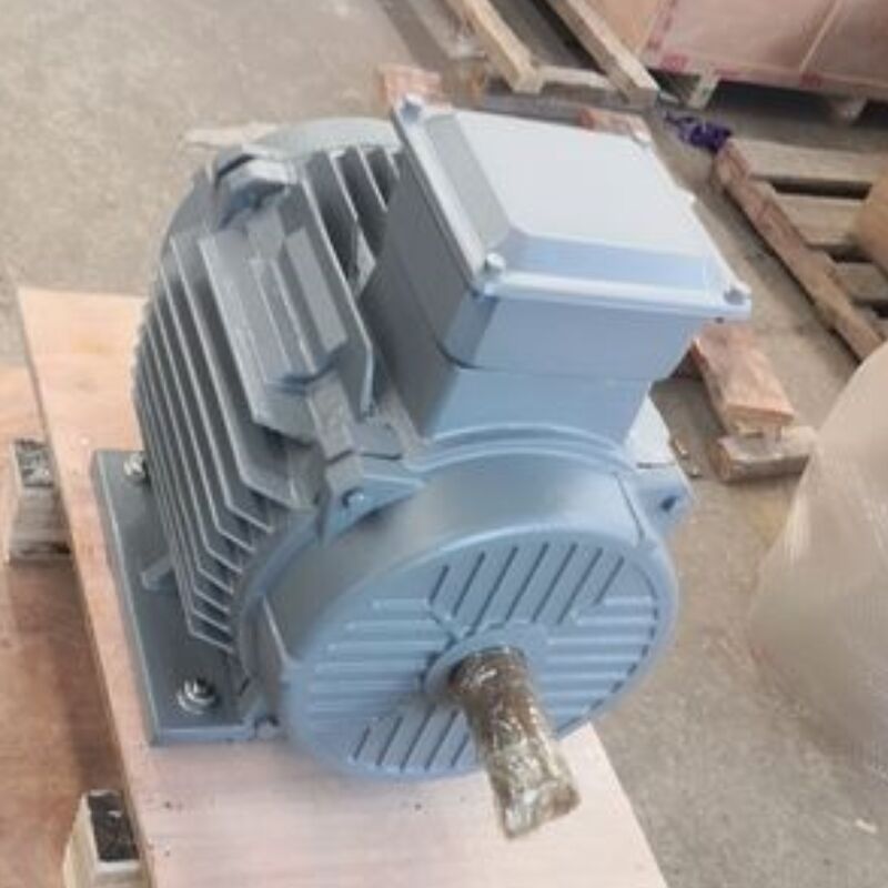 24V-1140V ব্রাশহীন স্থায়ী চৌম্বক মোটর আইপি 54 ডিগ্রি শ্রেণিবিন্যাস সরবরাহ করে অটোমেশন মেশিন এবং শক্তি সমাধানের জন্য অনুকূলিত