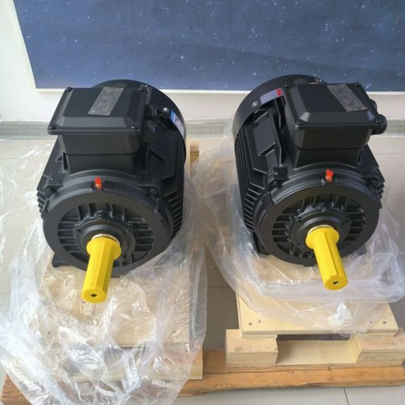 গতি 750 থেকে 3000rpm স্থায়ী চৌম্বক মোটর নামমাত্র শক্তি 750w থেকে 5Mw শীতল পদ্ধতি ফ্যান জল বা স্ব-শীতলতা পারফরম্যান্সের জন্য ডিজাইন করা