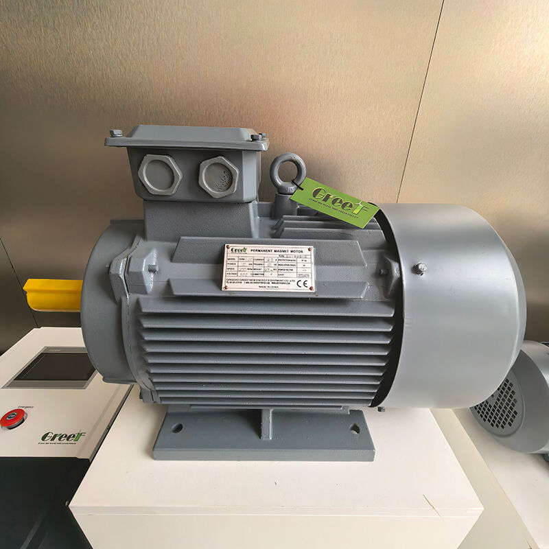 12VAC থেকে 1140VAC ফ্যান ওয়াটার স্ব-শীতল এবং IP54 শ্রেণীবিভাগ সহ স্থায়ী চৌম্বক জেনারেটর