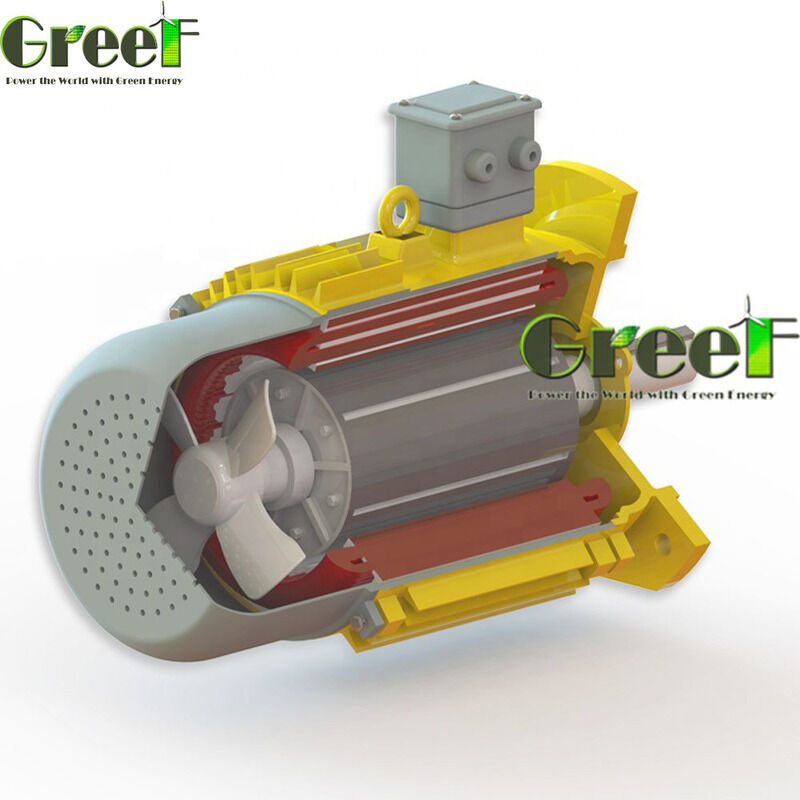 750W থেকে 5MW ব্রাশহীন স্থায়ী চৌম্বক মোটর অফারিং গতি পরিসীমা 750 থেকে 3000rpm শক্তি মোটর সিস্টেম এবং ড্রাইভ জন্য আদর্শ