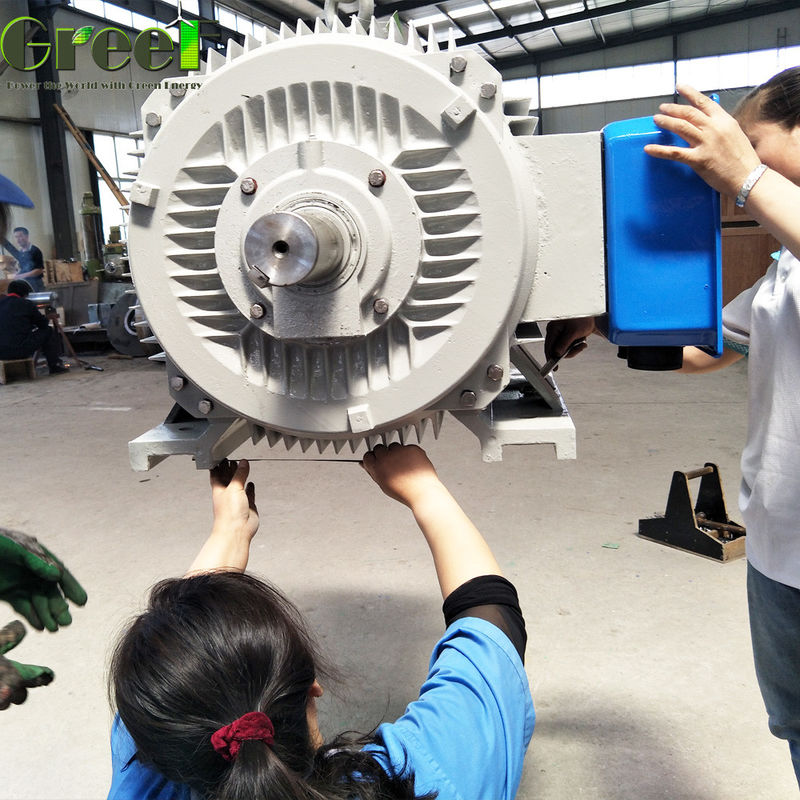 150kw 250kw 3 ফেজ এসি লো আরপিএম সিঙ্ক্রোনাস জলবিদ্যুৎ জেনারেটর জলবিদ্যুৎ টারবাইনের জন্য